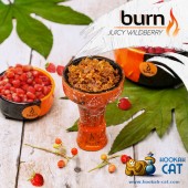 Табак Burn Juicy Wildberry (Земляника) 100г Акцизный